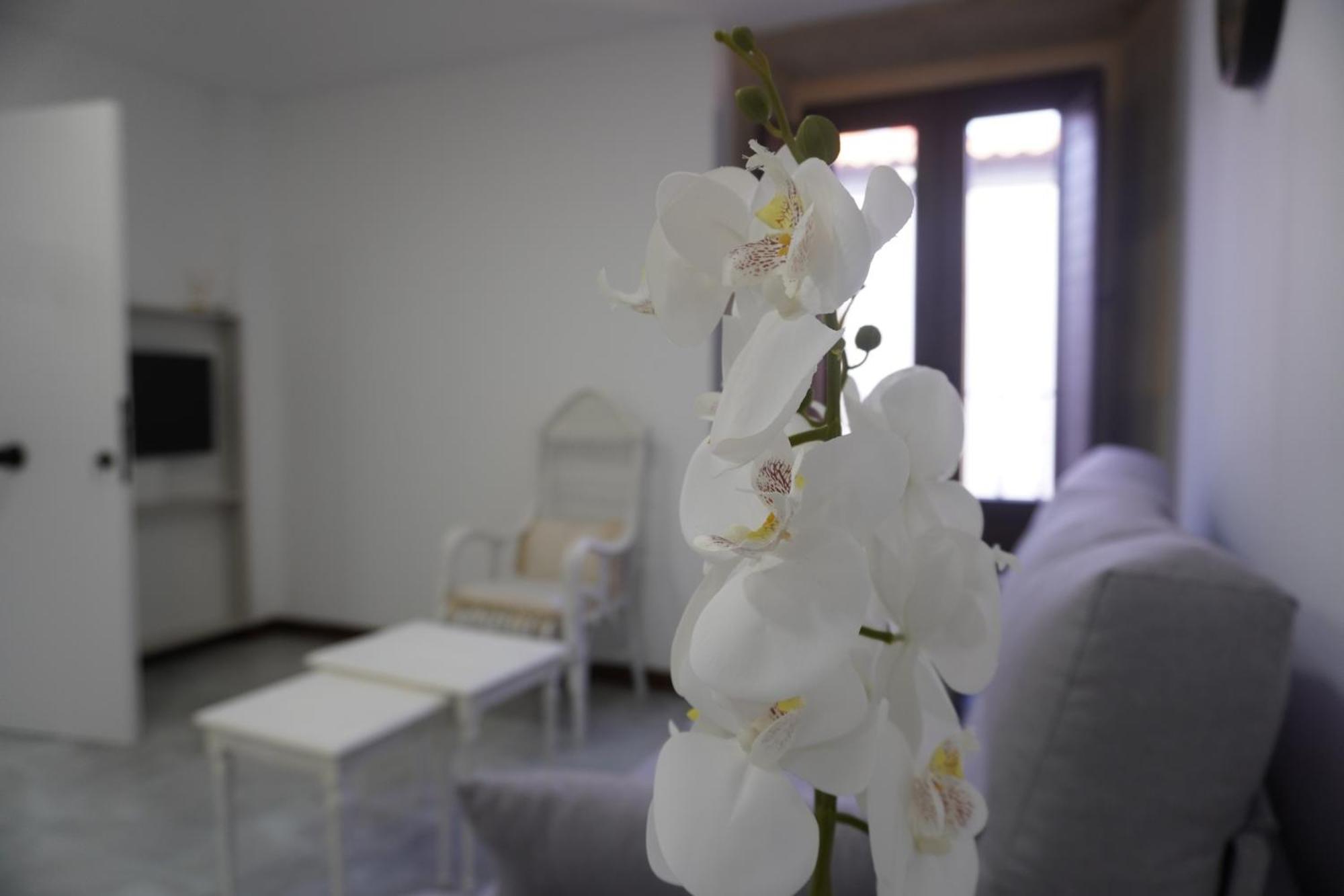Apartamento Sanin 3 Lumbrales Exterior photo